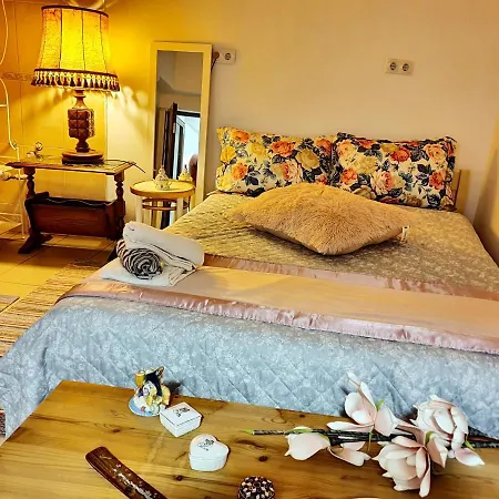Apartment Reina Home Cluj-Napoca
