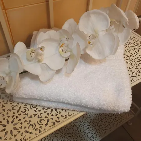 Reina Home Apartment